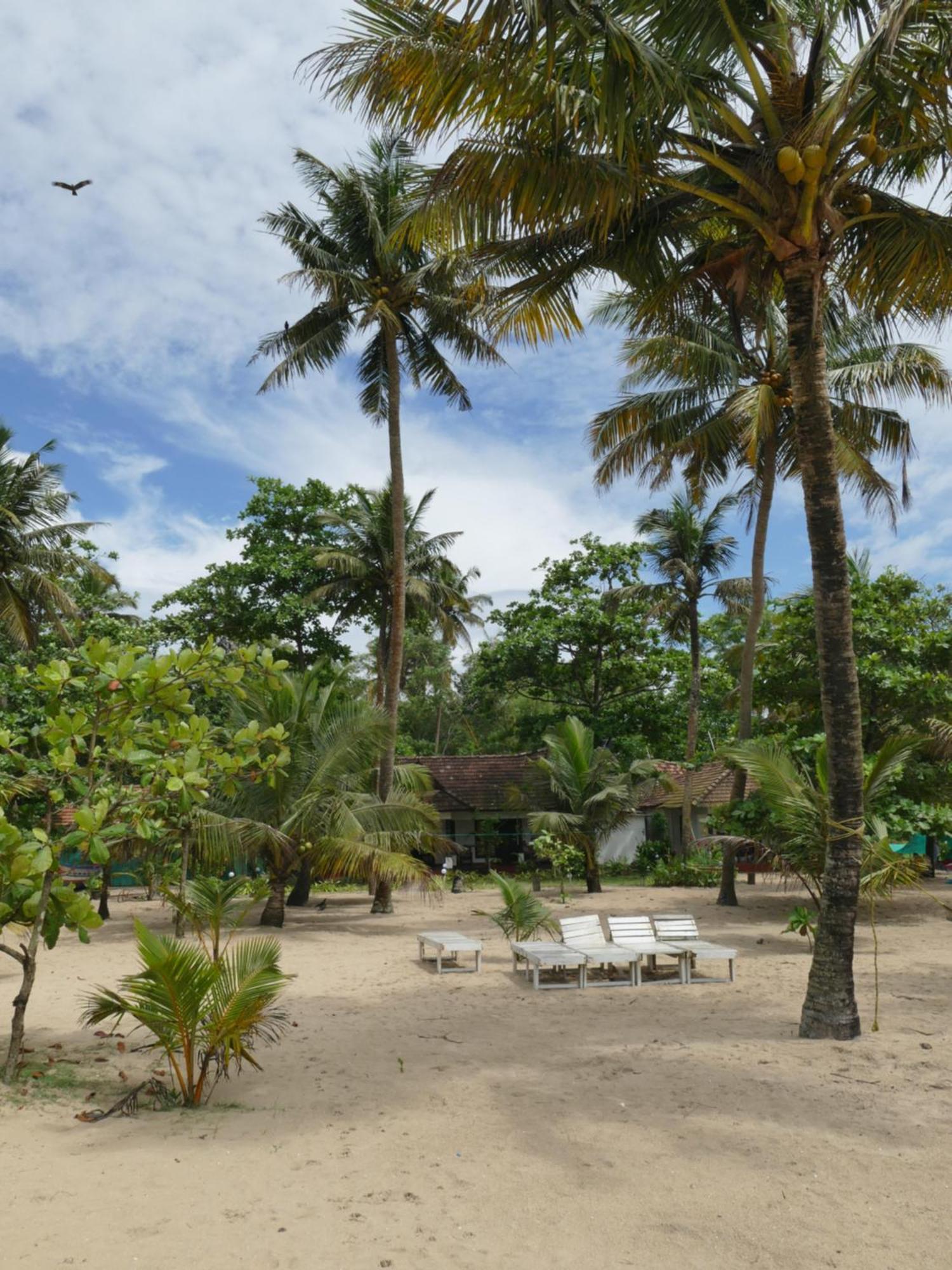 Marari Sealap Beach Villas 马拉利库兰 外观 照片