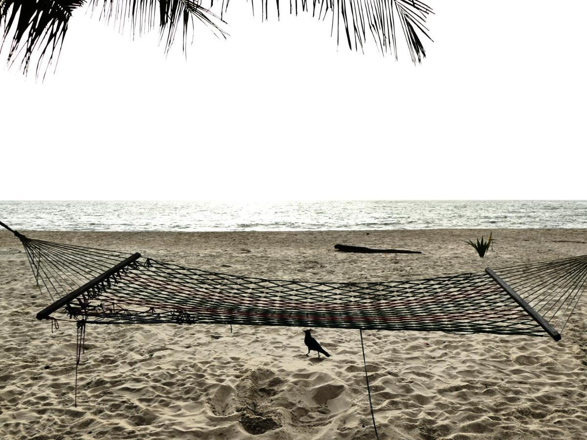 Marari Sealap Beach Villas 马拉利库兰 外观 照片
